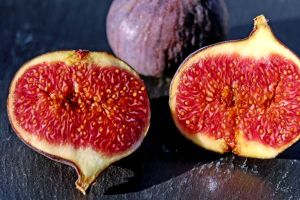 Figs
