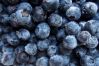 Blueberries