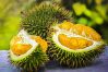 Durian