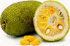 Jackfruit