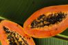 Papaya