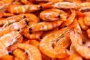 Prawns
