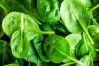 Spinach