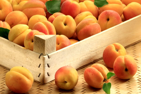 Apricots