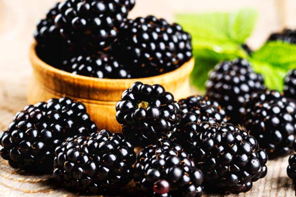 Blackberries