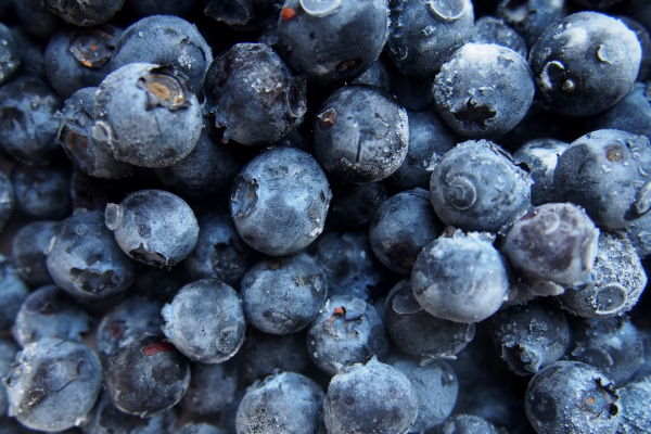 Blueberries