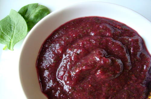 blueberry-puree-baby-food-recipe