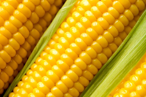 Corn