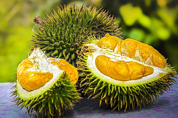Durian