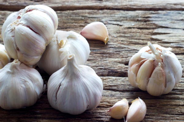 Garlic