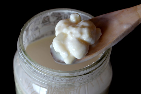 Kefir
