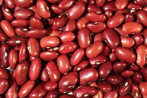 Kidney Beans