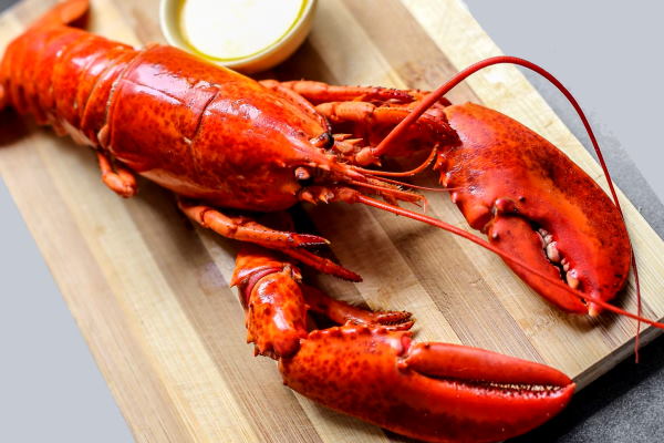 Lobster