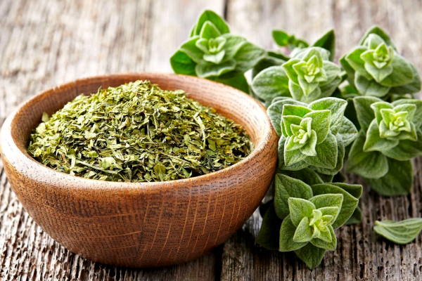 Oregano
