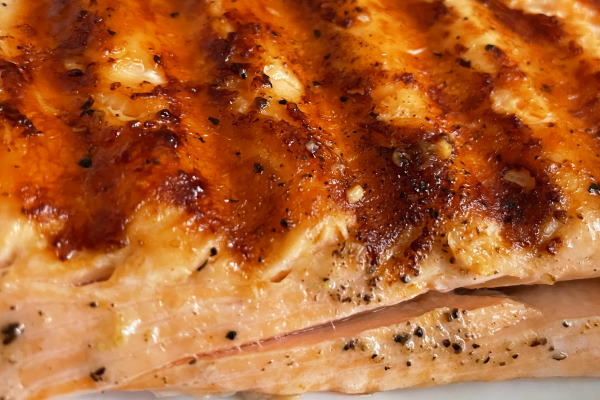 Salmon