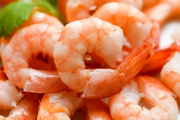 Shrimp