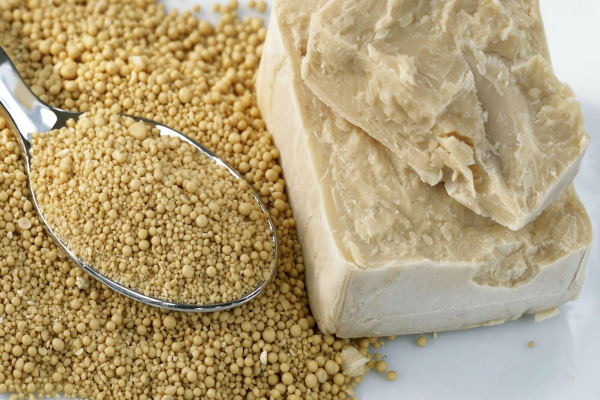 Yeast